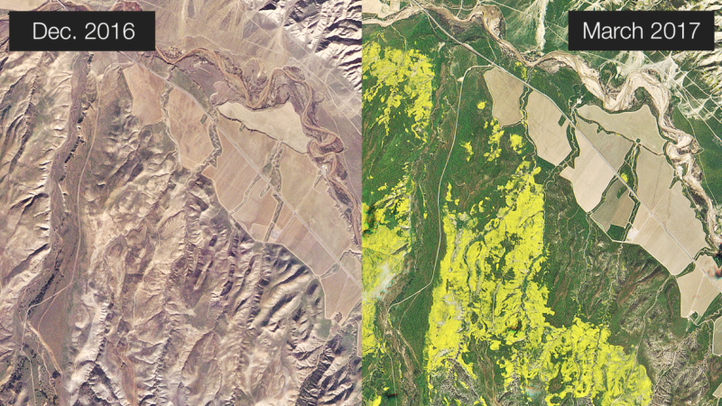superbloom-2017-from-space-1-e1492084236960.png.76780f57cbd7be4c092c2e25453f76e8.png