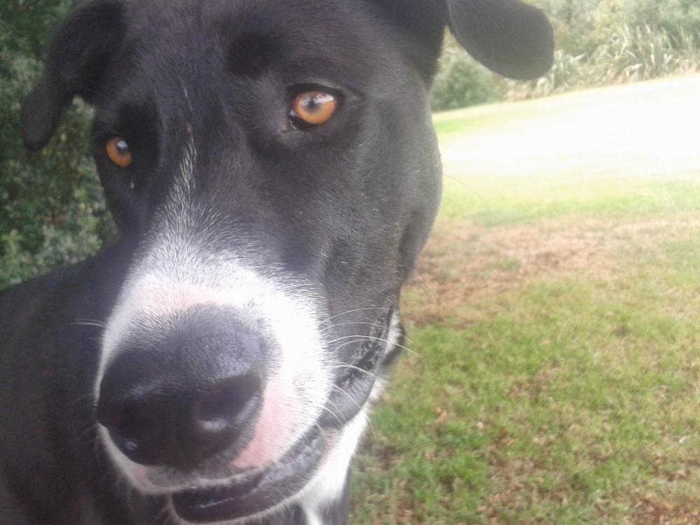 2014-01-21 15.36.39.jpg