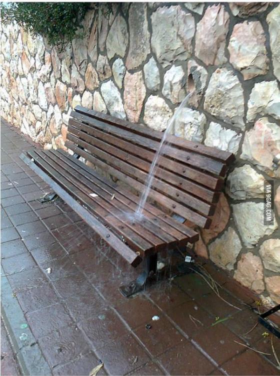 Bench Fail.jpg
