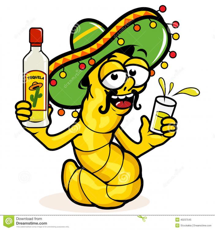 drunk-tequila-worm-cartoon-holding-bottle-40237545.thumb.jpg.32c164c469b7d5cb886176fead9774f8.jpg