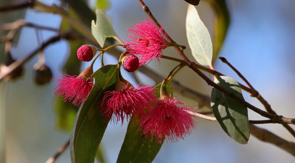 IMG_0252.JPGdone (2).jpg