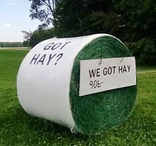 599e1a1351b07_WeGotHay.JPG.e6ca633e35eac7e23e3824801c4a1e1e.JPG