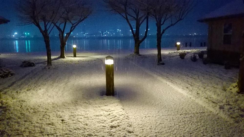 snow feb 2oth night (2).jpg