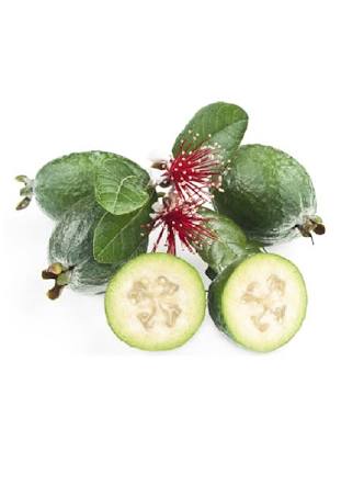 feijoa3.jpg.ad9cb7e46f79f153acc12ddb4c12743e.jpg