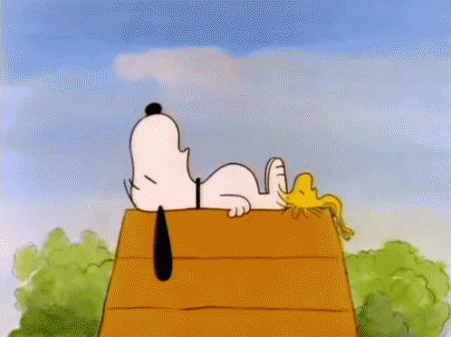 5ae6424faec82_SnoopyPeanutsSleep.gif.b203d877b914e769094f762311ab0b8c.gif