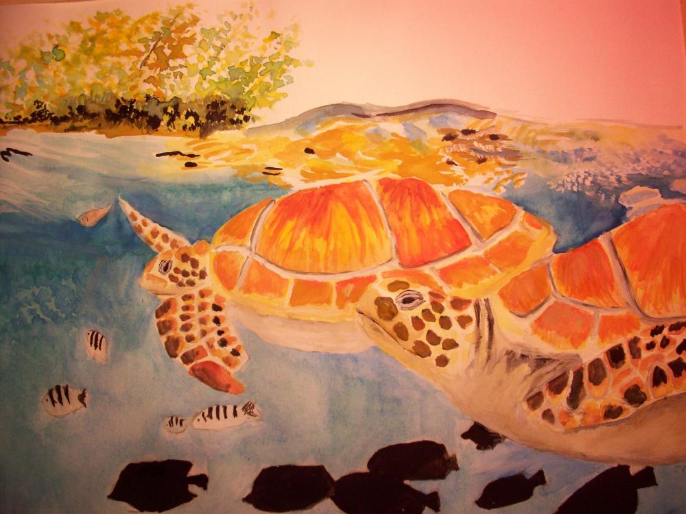 sea turtles.jpg