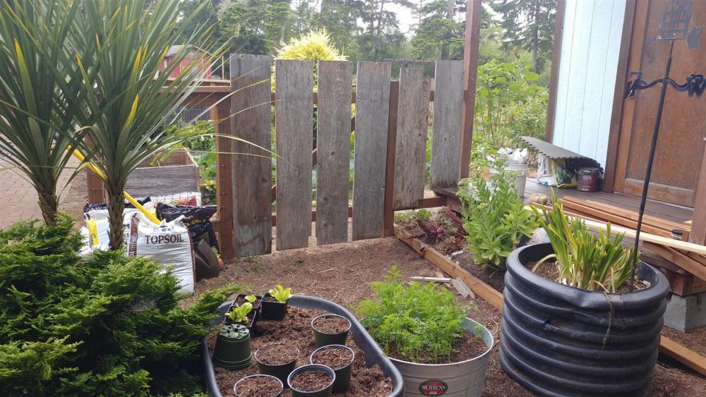 North gate (1531 x 861).jpg