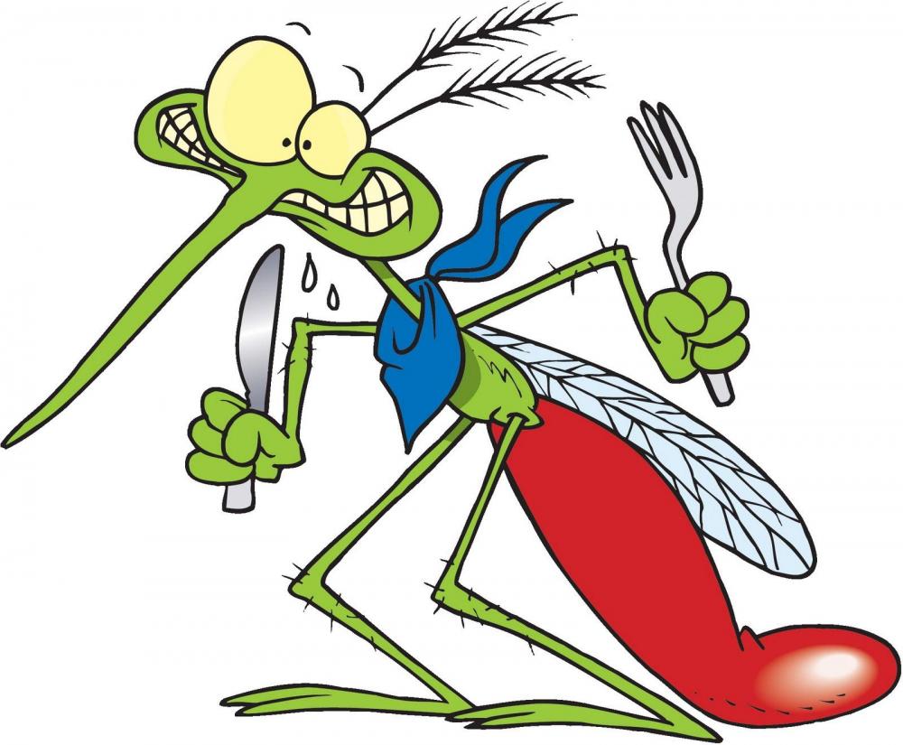 mosquito-cartoon.jpg