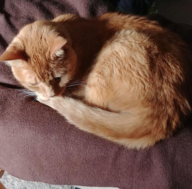 Quigley - no Felix.jpg