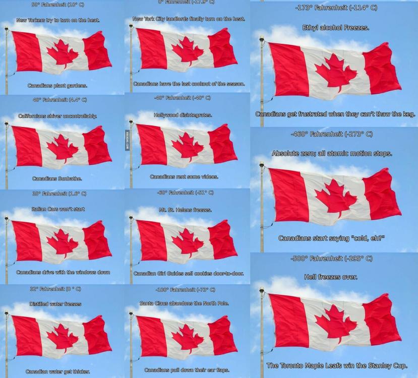 Official Canadian Temperature Chart Eh.jpg