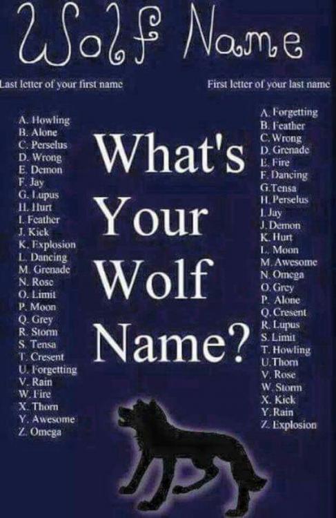 Wolf Name.jpg