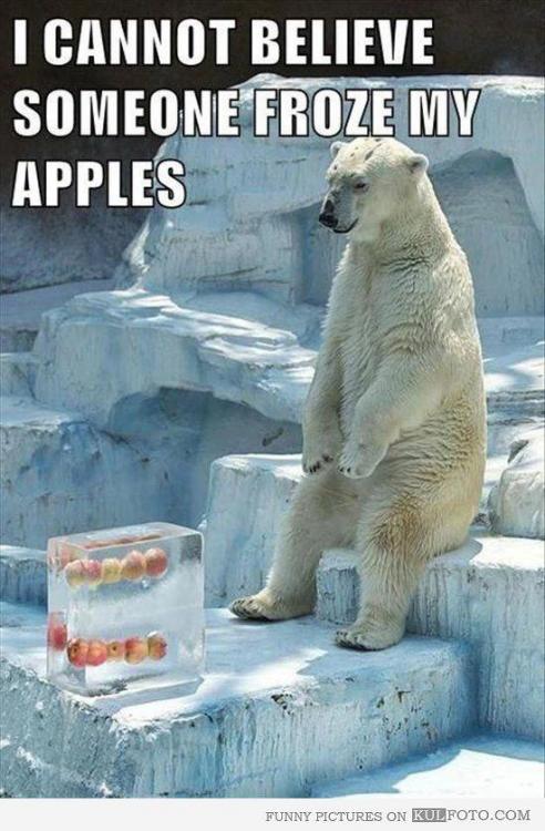 Frozen Apples.jpg