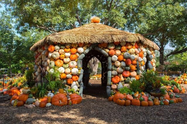 835347091_G7GourdHouse.jpg.772c16d8a30ada88e5845ed6a47ca8f4.jpg