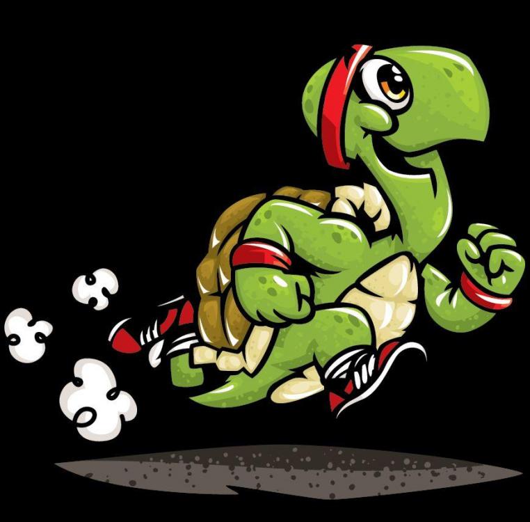 racingturtle.jpg