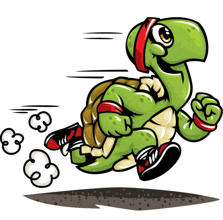 racingturtle.png