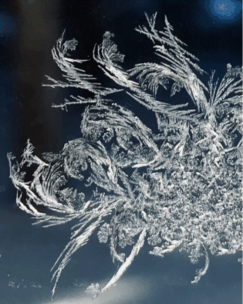 396332602_Hoarfrostonwindowpane.gif.9aaf569885acfffb7946ef504fc80a5b.gif