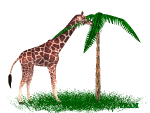 1190475759_Giraffesnacking.gif.07df44d23c6e8ba5db251a2004734fb9.gif