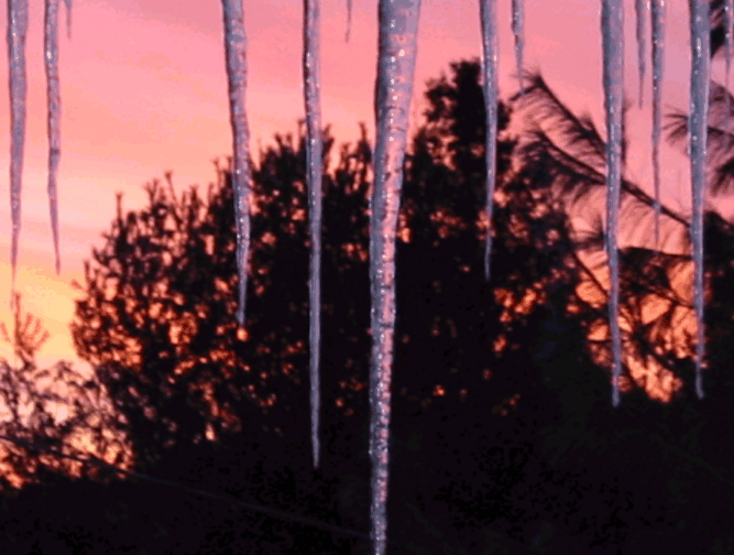 1939352636_Pallisadesoficiclesglisteninginthesun.gif.80f32fd80fd3ac3e4df3151f5ca458c7.gif