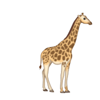 317462709_GiraffedeliveringApril.gif..gif.410ebcc02dea0de57653185ab4220c18.gif