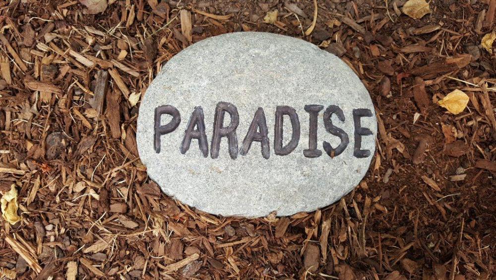Paradise 1.jpg