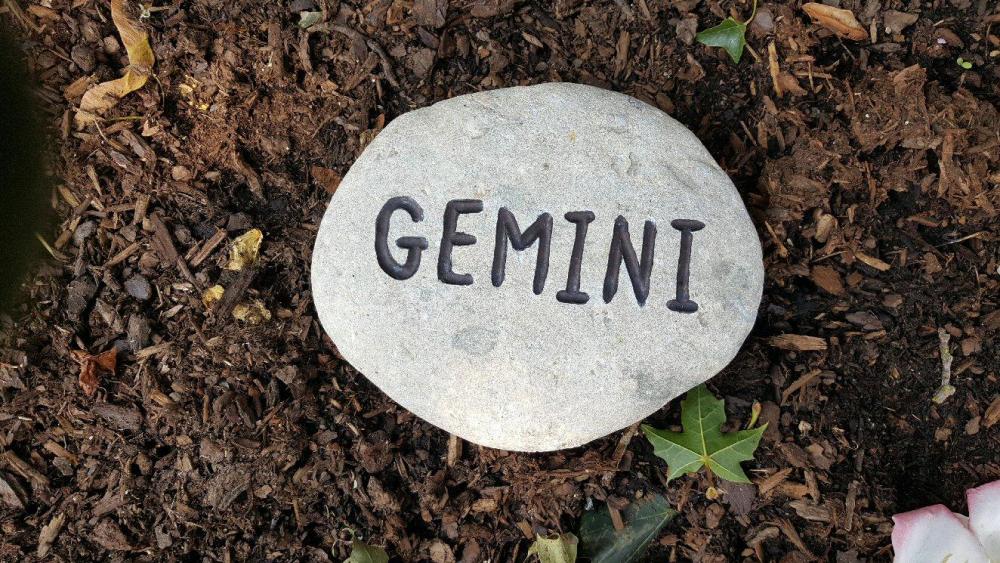 Gemini 1.jpg