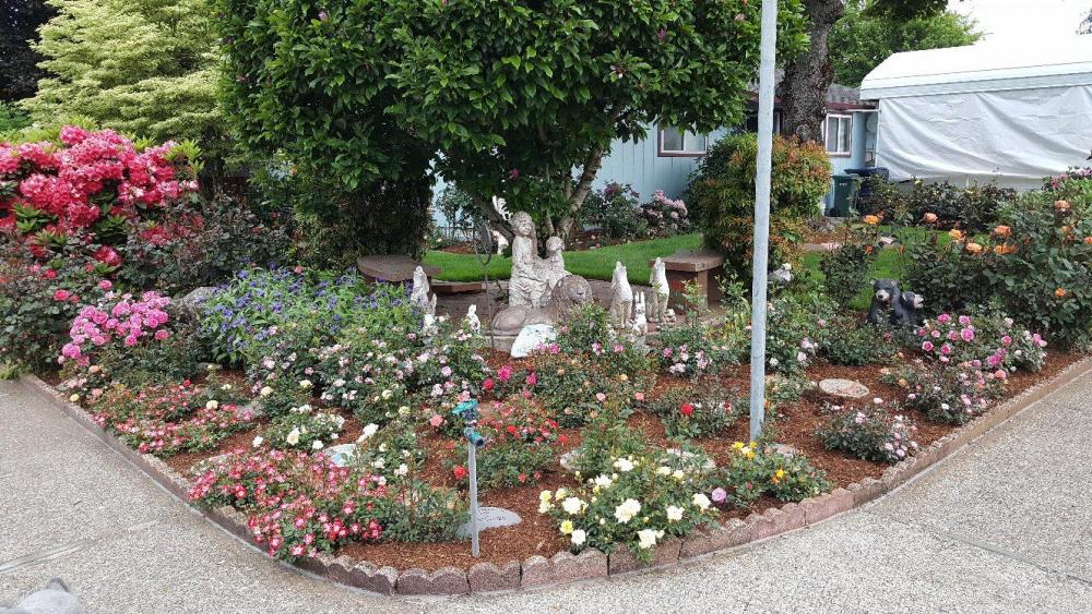 Melissa's Garden.jpg