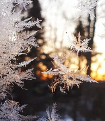 Frost.jpg.66f8b7e11648668cb29b21fd98035953.jpg