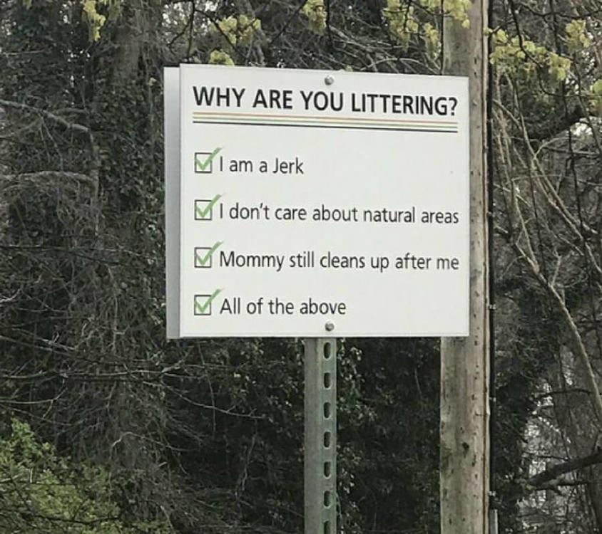 Why Littering.jpg