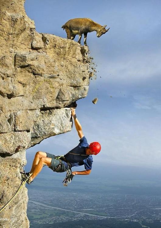 Good He has a helmet.jpg