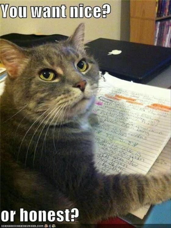 nice vs honest.jpg