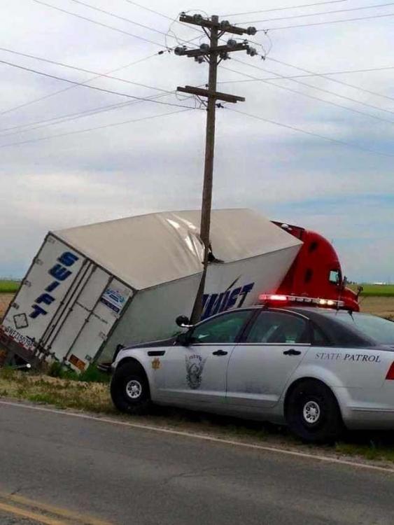 Leave it to Swift.jpg