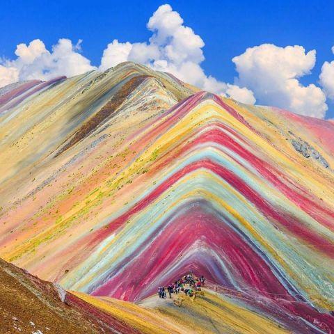 VINICUNCA the 