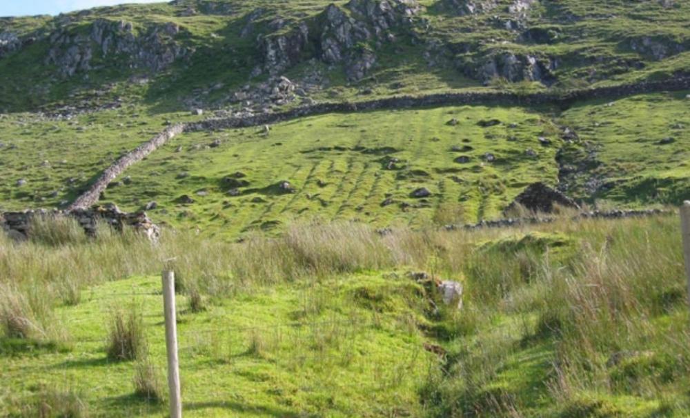 Screenshot_20200323-150039_Samsung Internet.jpg