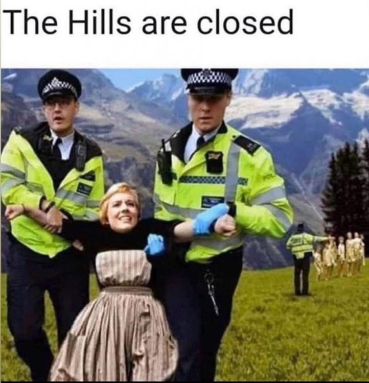 1821260913_hillsclosed.thumb.jpg.43ff97deaa78dbf53617b473f4eb1d14.jpg