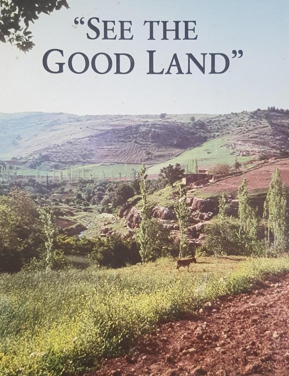 See the Good Land brochure Encouragement for the Worldwide Brotherhood JWTalk Jehovah's