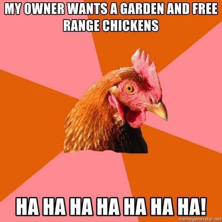 garden or free range.jpg