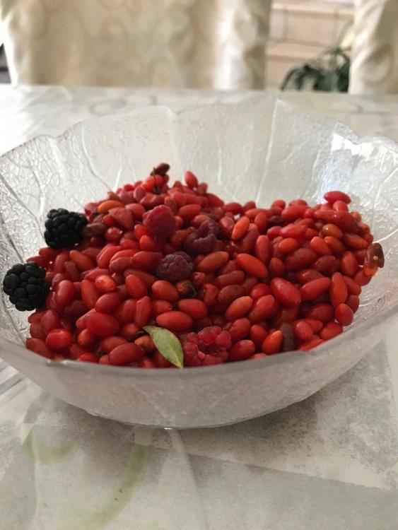 gojiberries.jpg