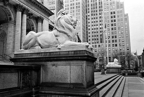 diary-nypl-lions-cityroom-blog480.jpg.75ec4a6bb2b66777d33155d51a03b7cf.jpg