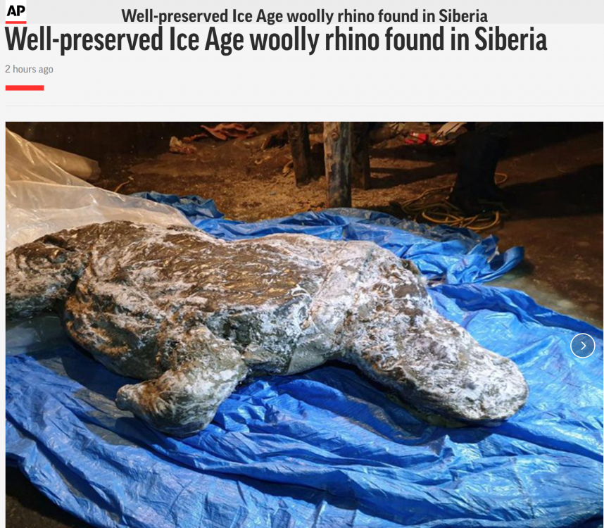 wooly_mammoth_find.png