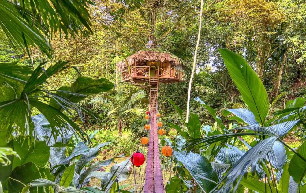 Secret-Jungle-Treehouse.thumb.jpg.07ebdda23ce1ab689223bbd7ee1e7c60.jpg