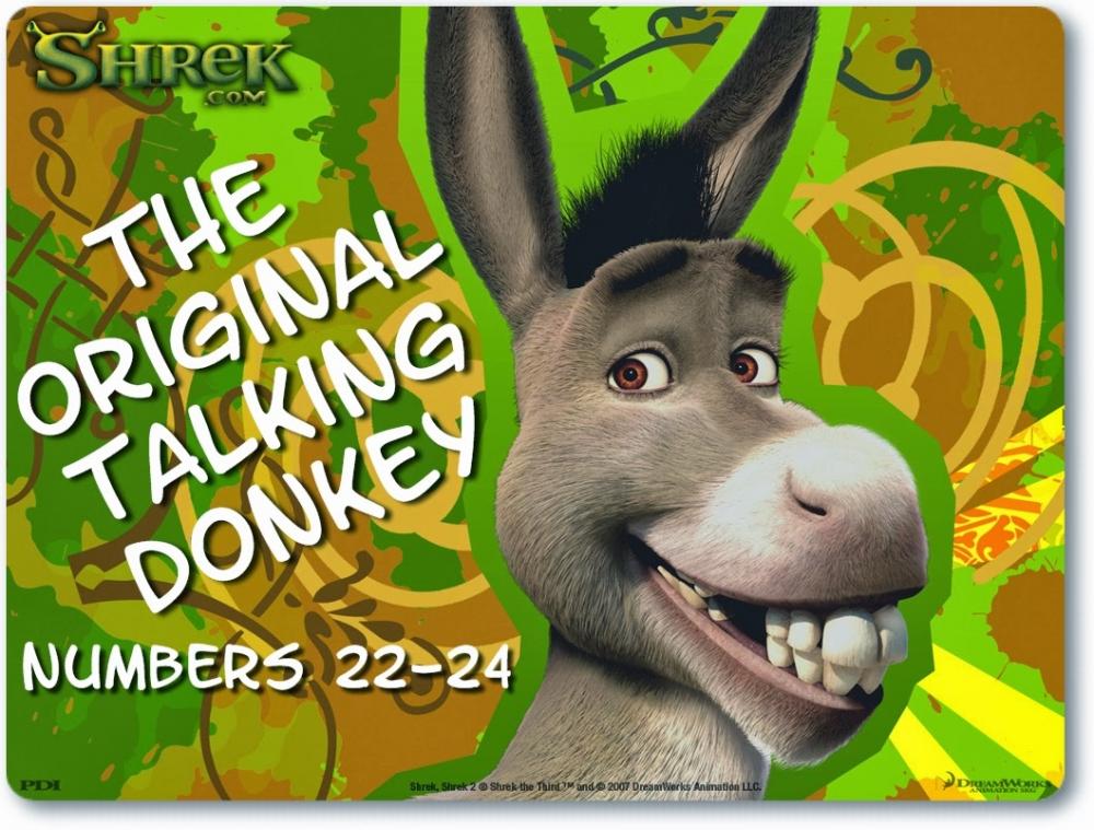 talkingdonkey.jpg
