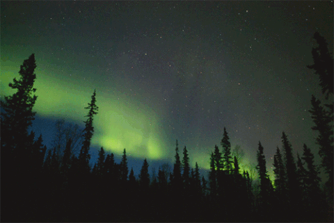 857584792_NorthernLightsanimated.gif.a5ca3ba4575b9338e75b685f2579920f.gif