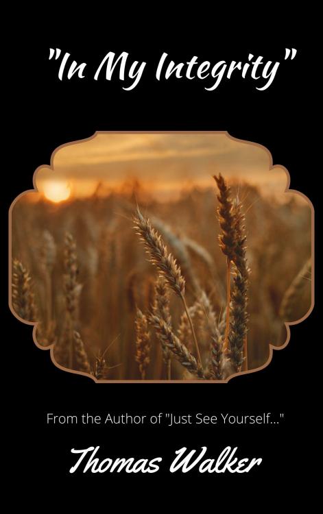 1053171013_CopyofInMyIntegrityCover.thumb.jpg.e7e90872a4b1af50855a0087959afcf7.jpg