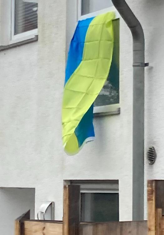 ukrainianflag.jpeg