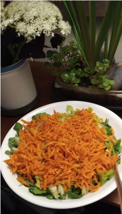 Carrot salad JWT.jpg
