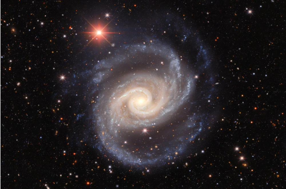 NGC1566.png