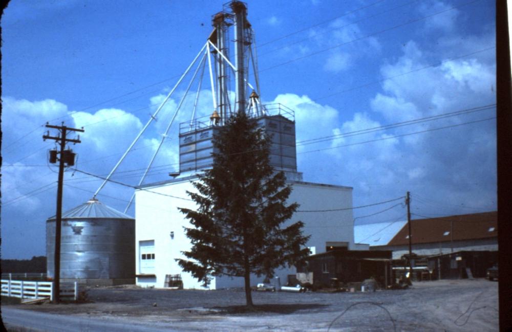 WTfarm-1969 (5) (Medium).JPG