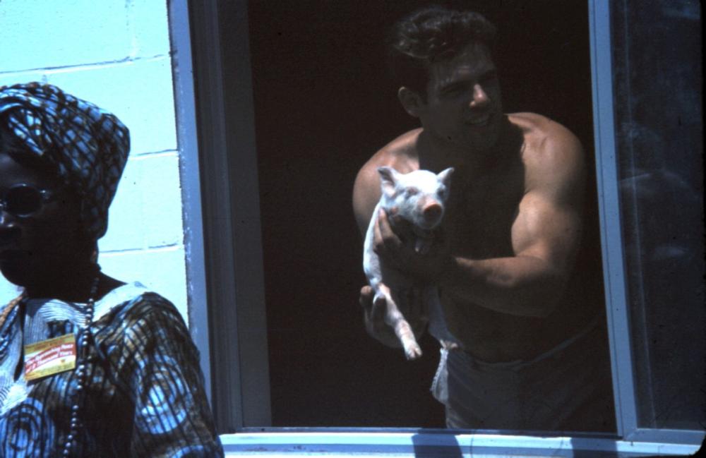 WTfarm-1969 (2) (Medium).JPG