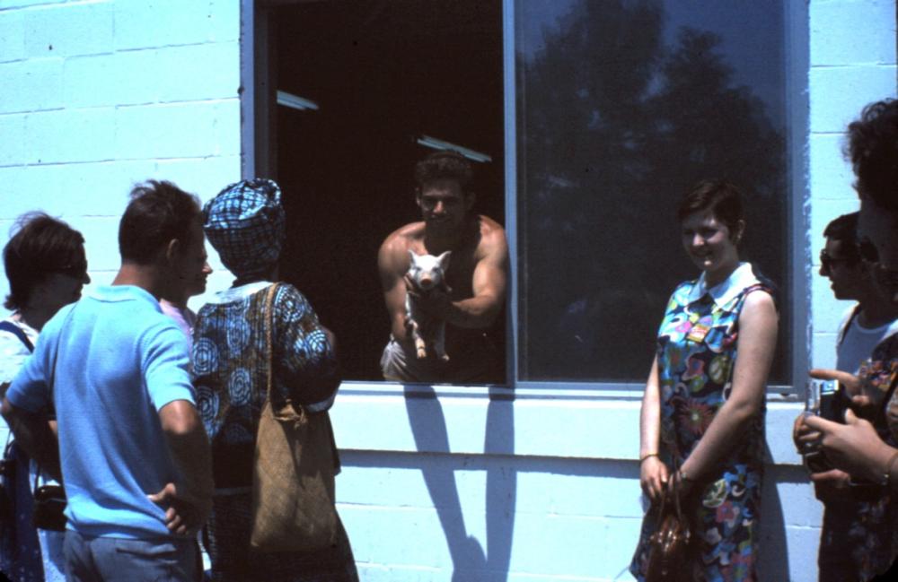 WTfarm-1969 (4) (Medium).JPG