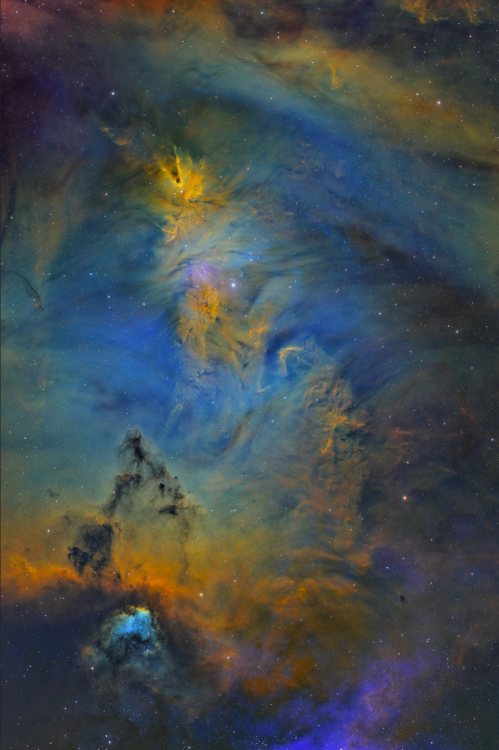 NGC-2264.png